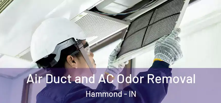 Air Duct and AC Odor Removal Hammond - IN