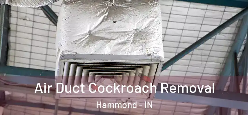 Air Duct Cockroach Removal Hammond - IN