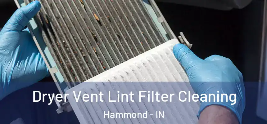 Dryer Vent Lint Filter Cleaning Hammond - IN