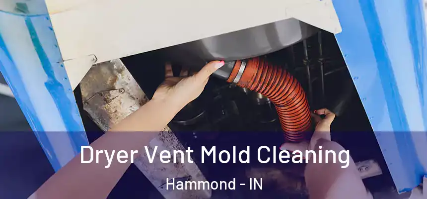 Dryer Vent Mold Cleaning Hammond - IN