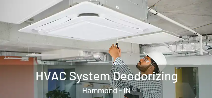 HVAC System Deodorizing Hammond - IN