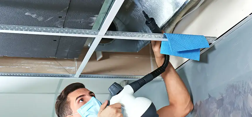 Our Air Duct Rodent Removal Services in Hammond, IN
