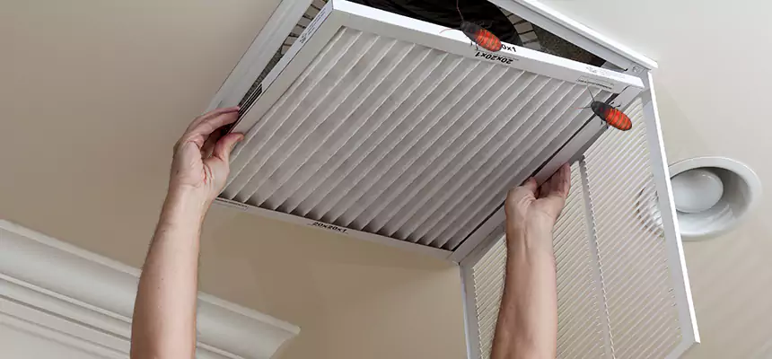 Our Insect Removal from Air Ducts Services in Hammond, IN