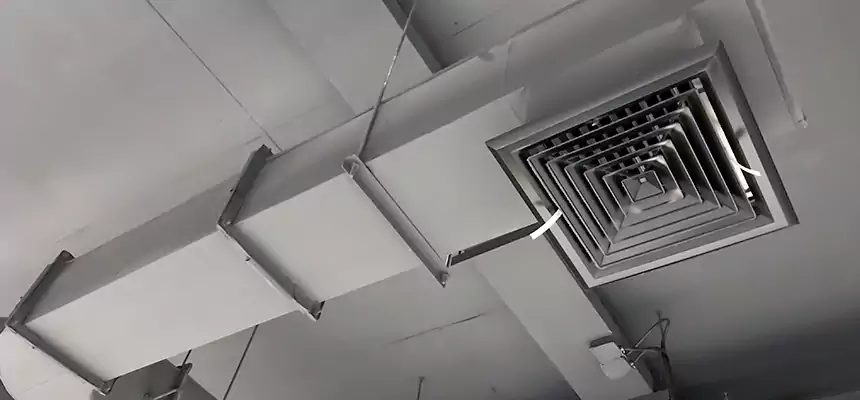 Our Pest Removal From Ducts Services in Hammond, IN