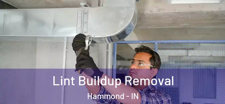 Lint Buildup Removal Hammond - IN