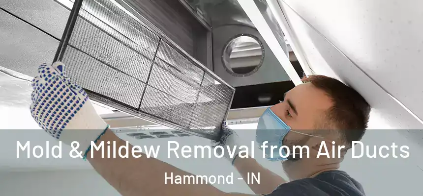 Mold & Mildew Removal from Air Ducts Hammond - IN