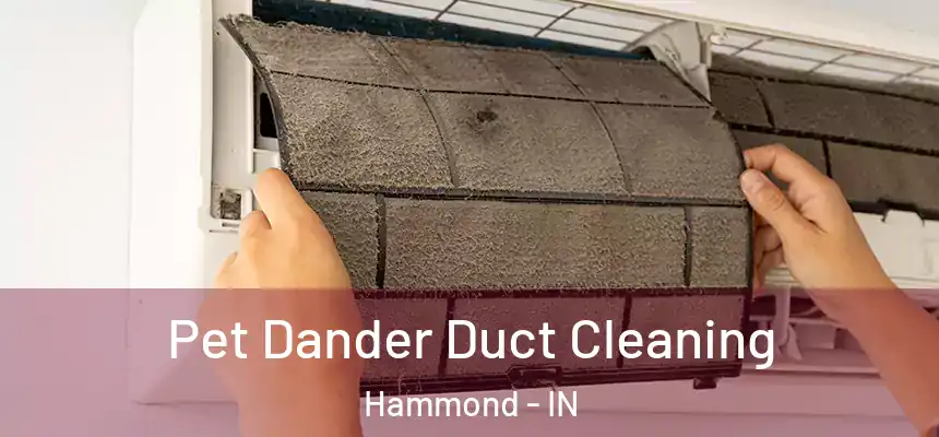 Pet Dander Duct Cleaning Hammond - IN