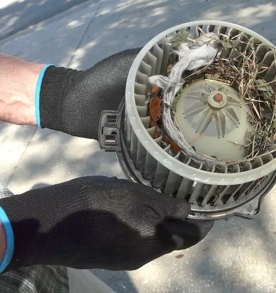 About Air Duct Rat Removal in Hammond, IN