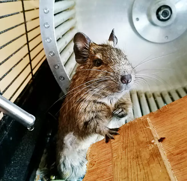 Why Homeowners & Businesses Trust Us Hammond, IN